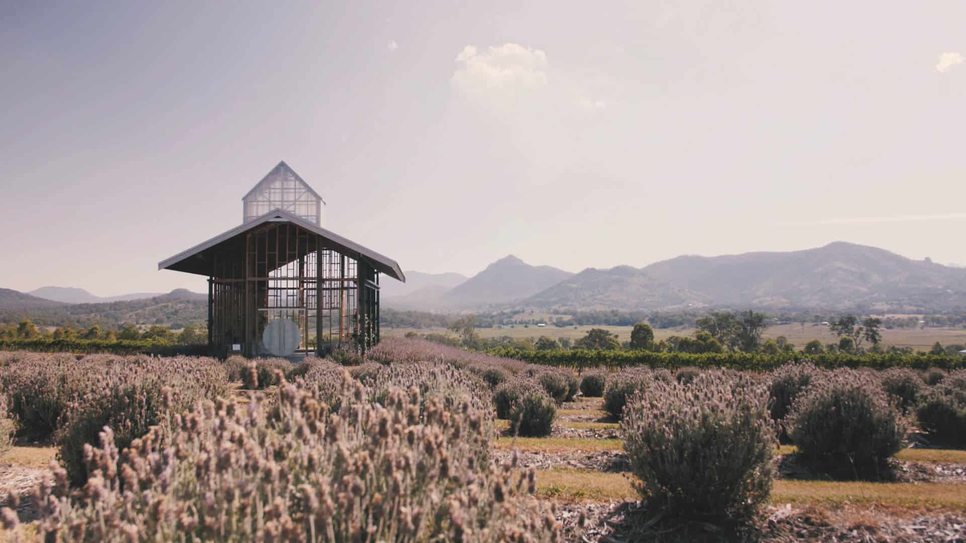Kooroomba Vineyard and Lavender Farm 